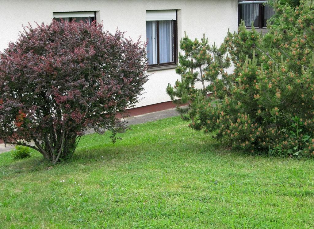Budai Garden House Hévíz Zimmer foto